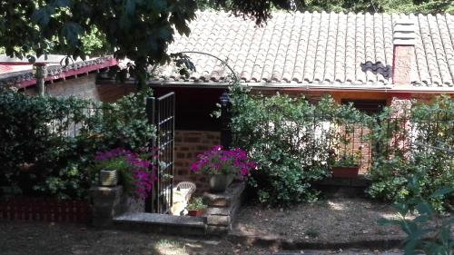 La Vecchia Mola 