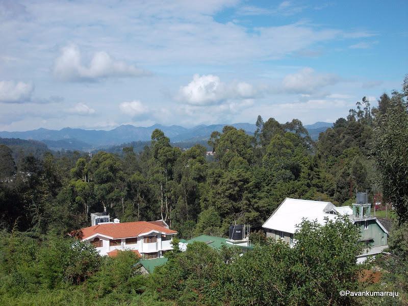 Hotel Willow Hill 