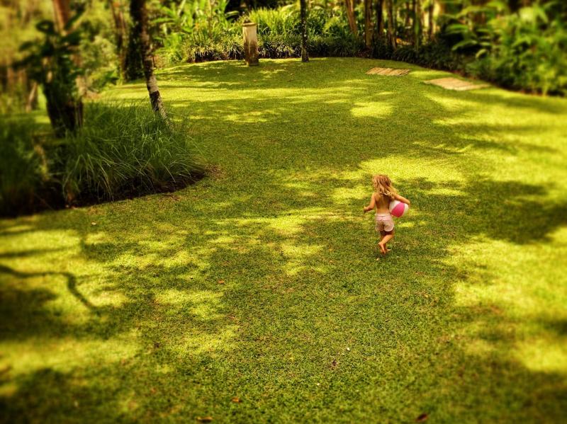 Villa Naga Ubud 