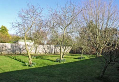 Meadow View 