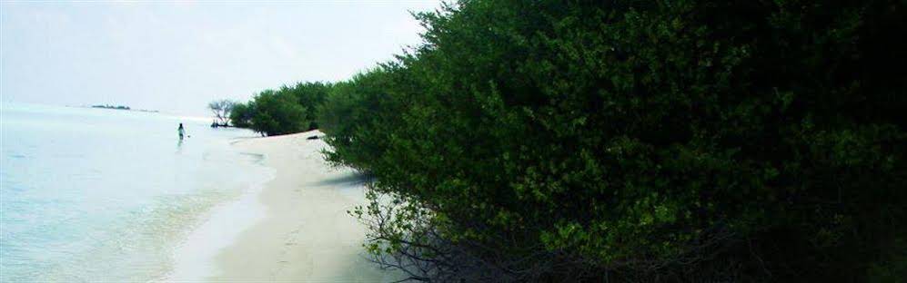 Isle Beach Inn 