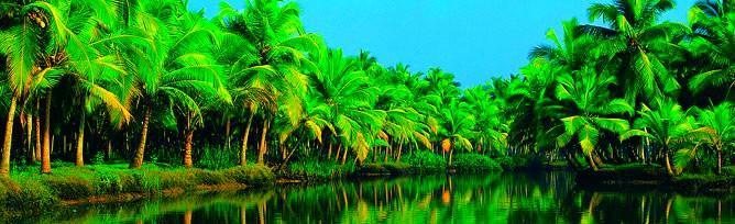 Chaandhni Lakeview 