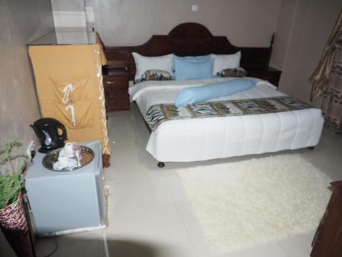 Panama Lodge And Tours 