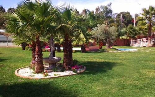 Villa Corallo Dell'etna 