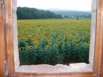 Casale Il Colombaio Di Toiano Guestroom View