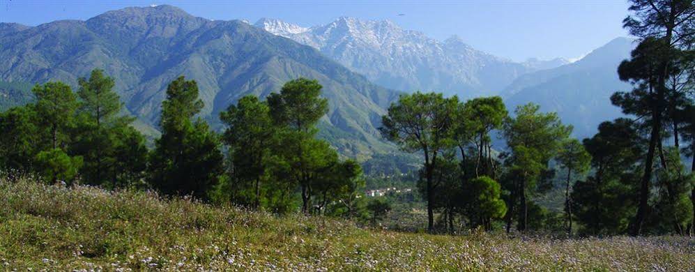 Club Mahindra Dharamshala 