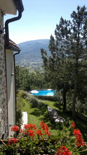Casale Degli Ulivi 