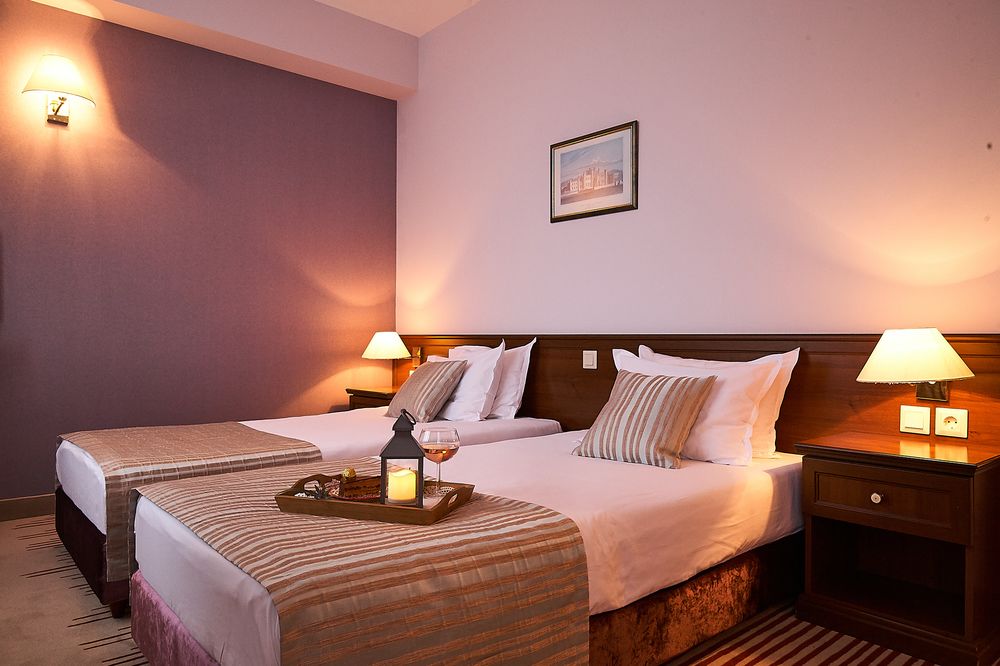 Hotel Lion Sofia Guestroom