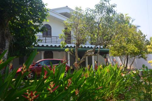 Villa Green White 