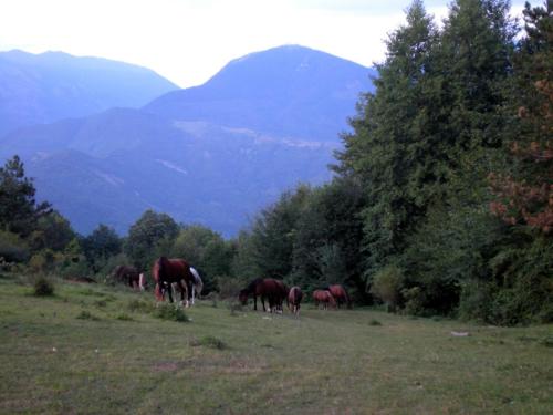 Quiconti Bed And Breakfast 