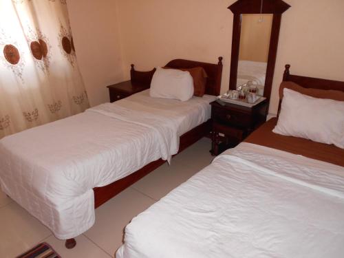 Panama Lodge And Tours 