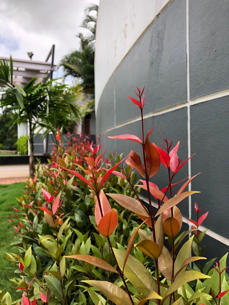 Pai Resorts Garden View