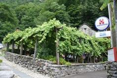 La Casina 
