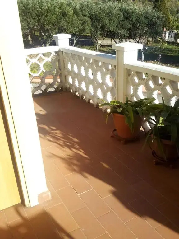 Tra Gli Ulivi 
