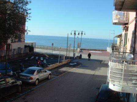 Cassiopea By The Sea 
