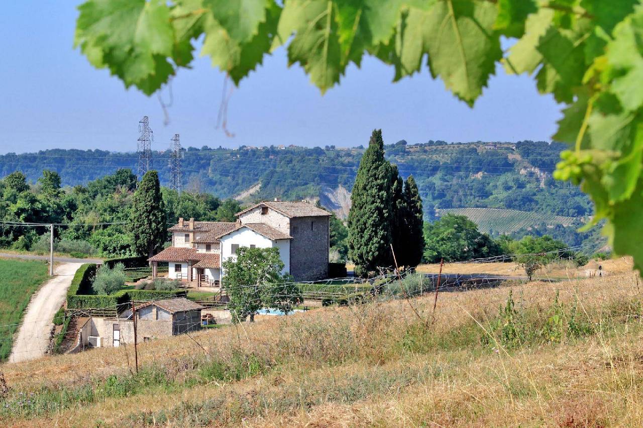 Trianon Country 