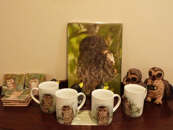 Morepork Riverside Lodge Gift Shop