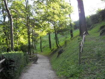 Hotel Villa Beccaris Garden View