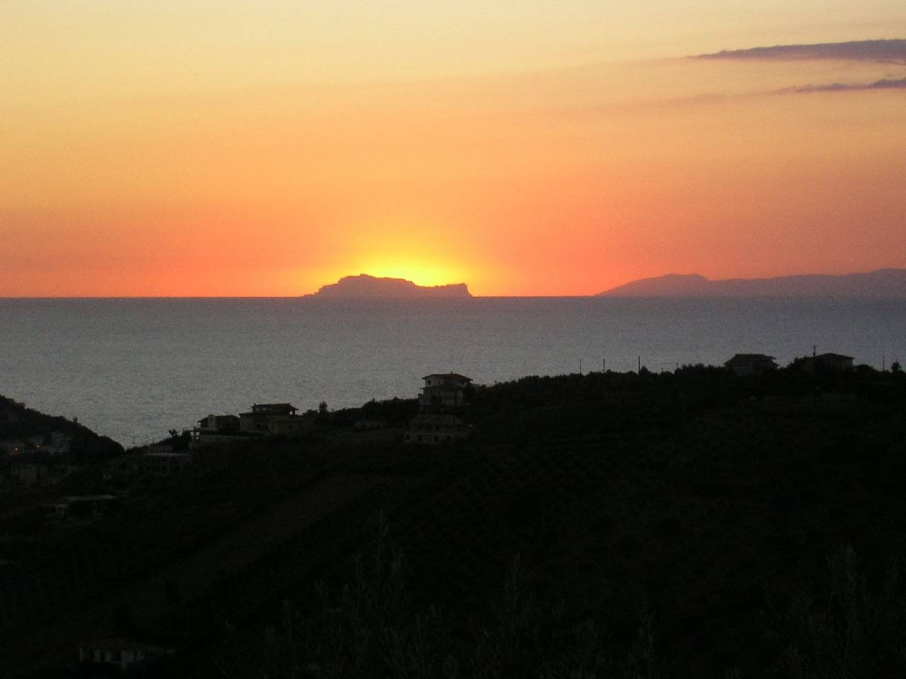 Dolce Basilico 
