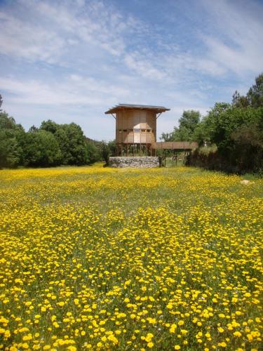 Casa Da Várzea Serra Da Estrela 