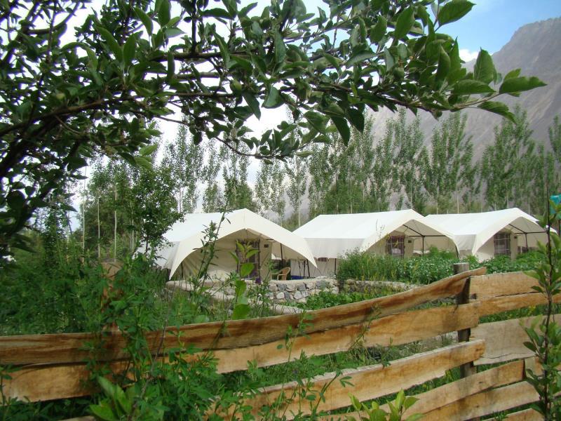Desert Oasis Camp 