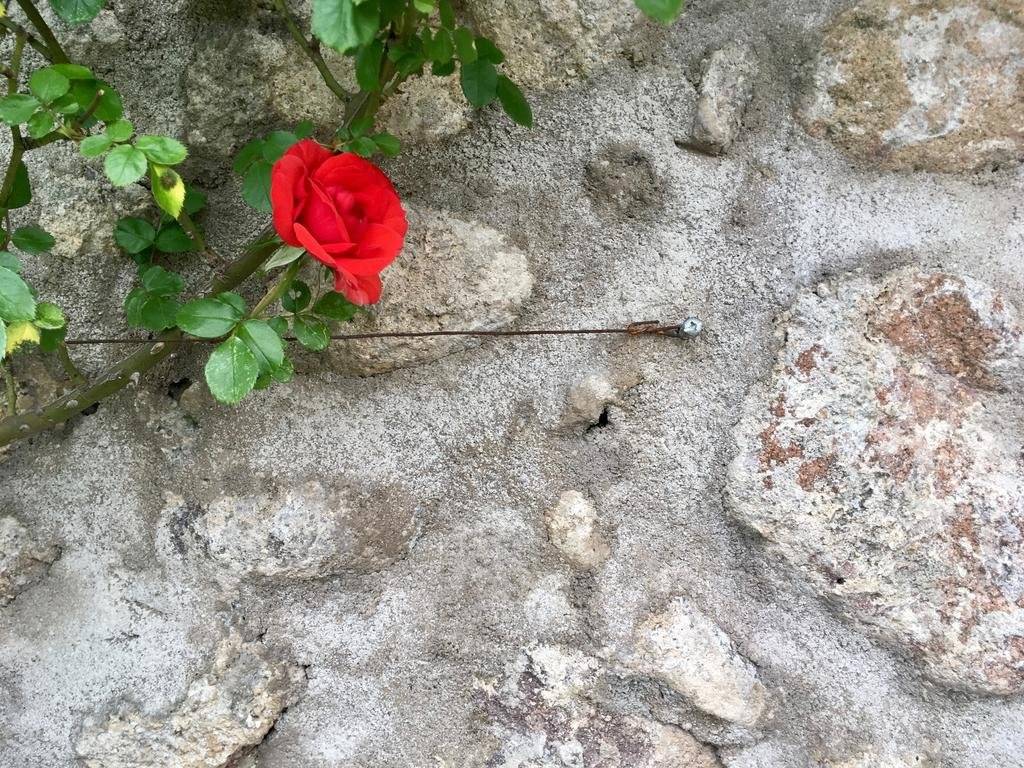Agriturismo Ca' Cristane 