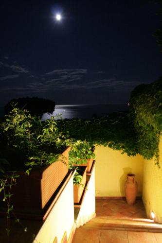 Villa Olga B&b 