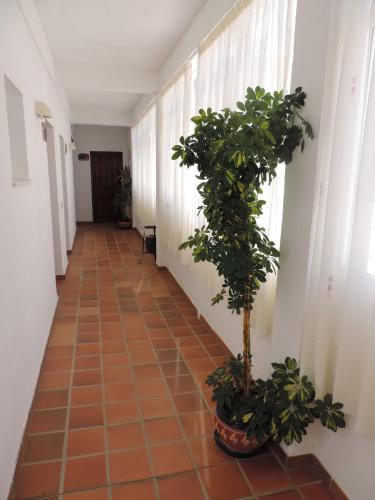 Hotel Las Calas 