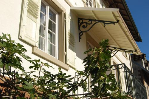 Alte Apotheke Bed & Breakfast 