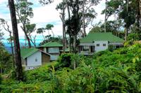 Neelakurunji Luxury Plantation 