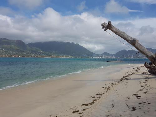 Fairy Tern Chalet 