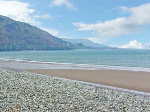 Seagulls Fairbourne 