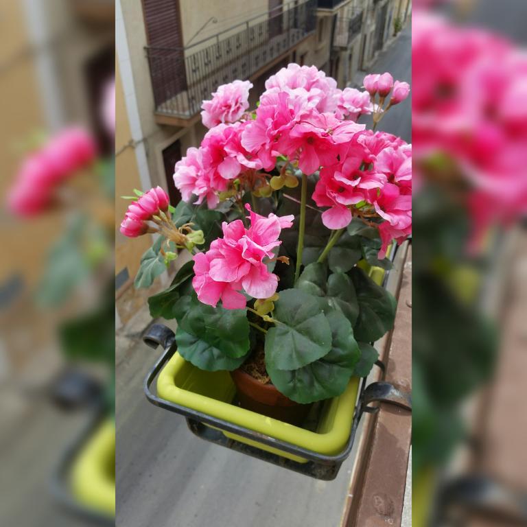 La Gardenia 