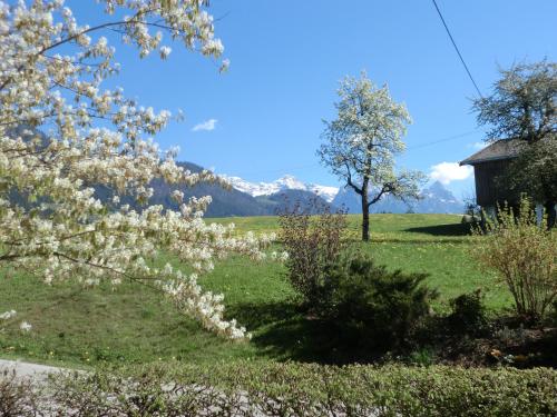 Vornbichlhof 