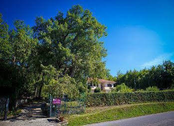 Agriturismo La Conca 