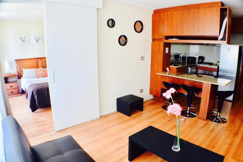 Apartamentos Premium Capital Casino Viña Del Mar (آپارتامنتوس پرمیوم كاپیتال كاسینو ویñا دل مار) Room