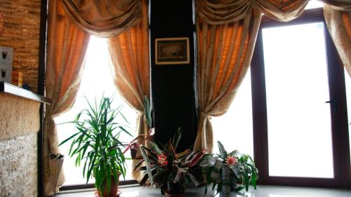 Hi Life Family Hotel 