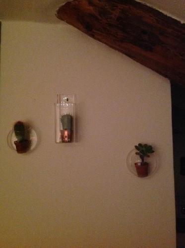 La Finestra Sui Tetti 