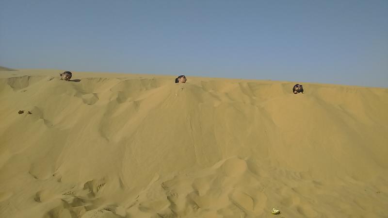 The Vintage Desert Camp 