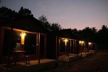 Wonderland Hostel 