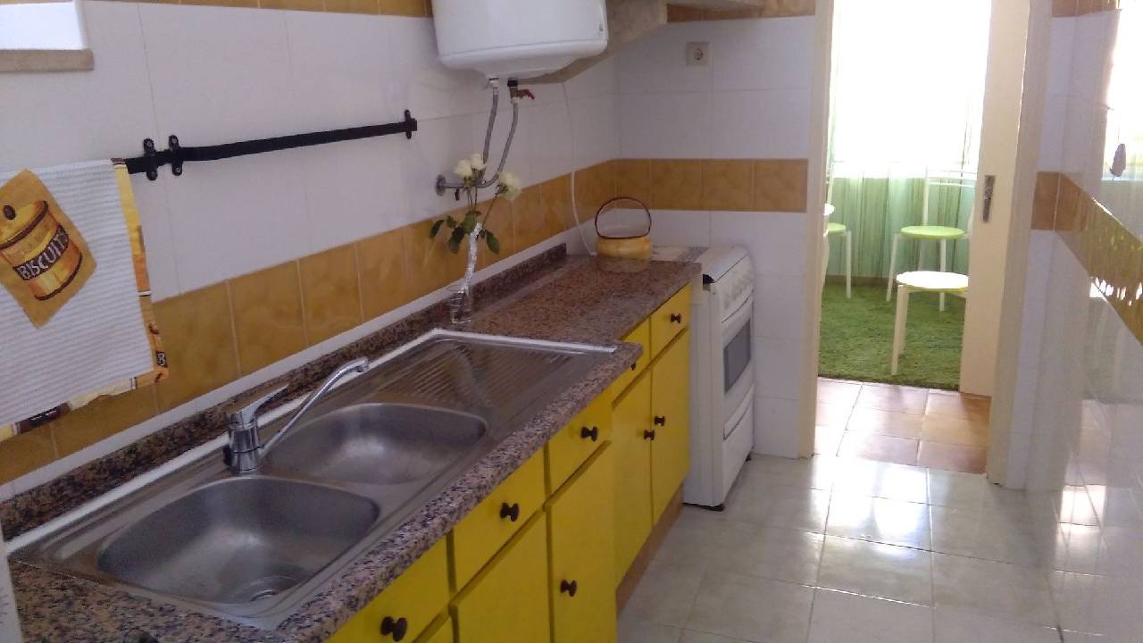 Cats House 
