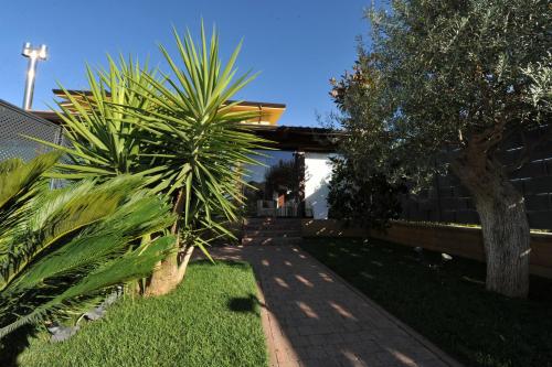 B&b Villa Antonio 