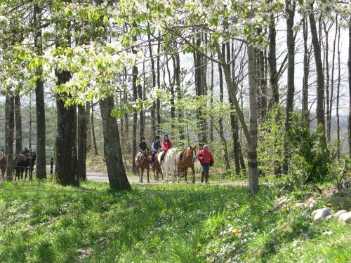 Fattoria CÀ Di Gianni 