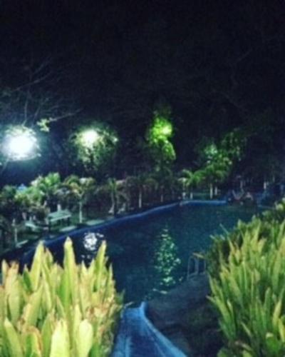 Aguas Termales Salitral 