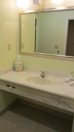 Holiday Inn Express Hotel & Suites Houston North Intercontinental 