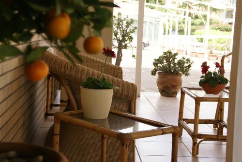Hotel Rasula Alta 