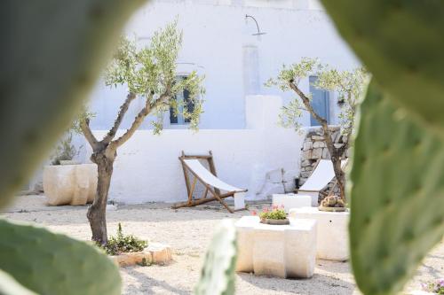 Masseria Mozzone 