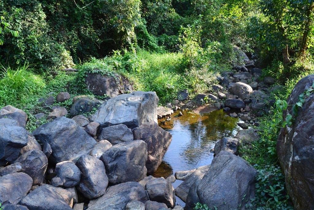 Stream Garden Mountain Resort 
