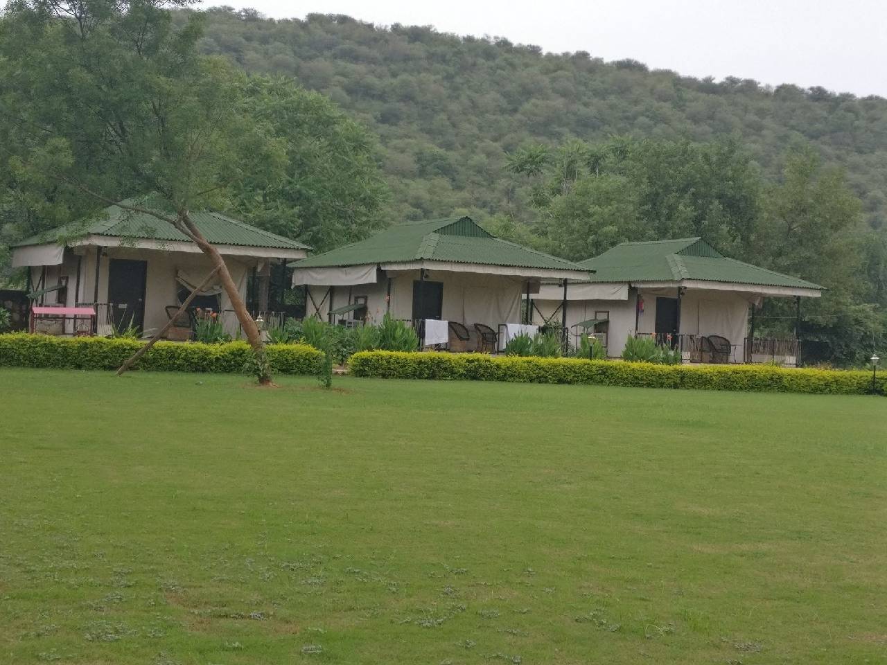 Sariska Tiger Heaven A Sterling Holidays Resort 