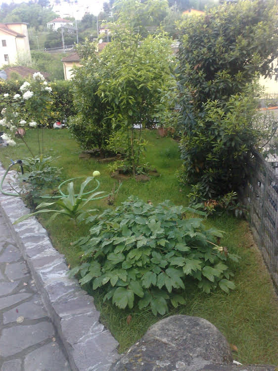 B&b Vela D'argento 